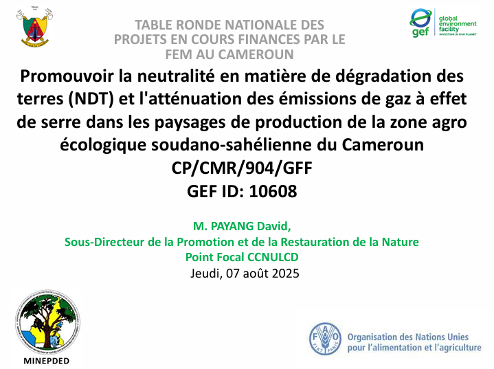 Présentation DNP NDT TABLE-RONDE-FEM 2025 comments HM1