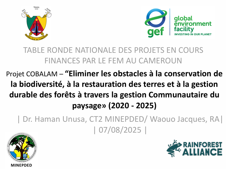 COBALAM Modele PPT Coordinateurs Projets FEM ST COBALAM FINAL