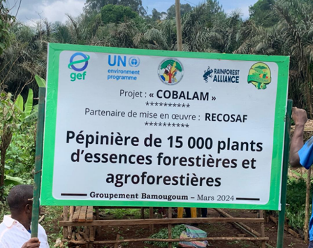 Projet COBALAM