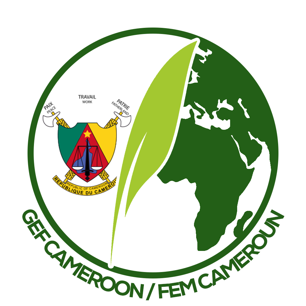 GEF Projects